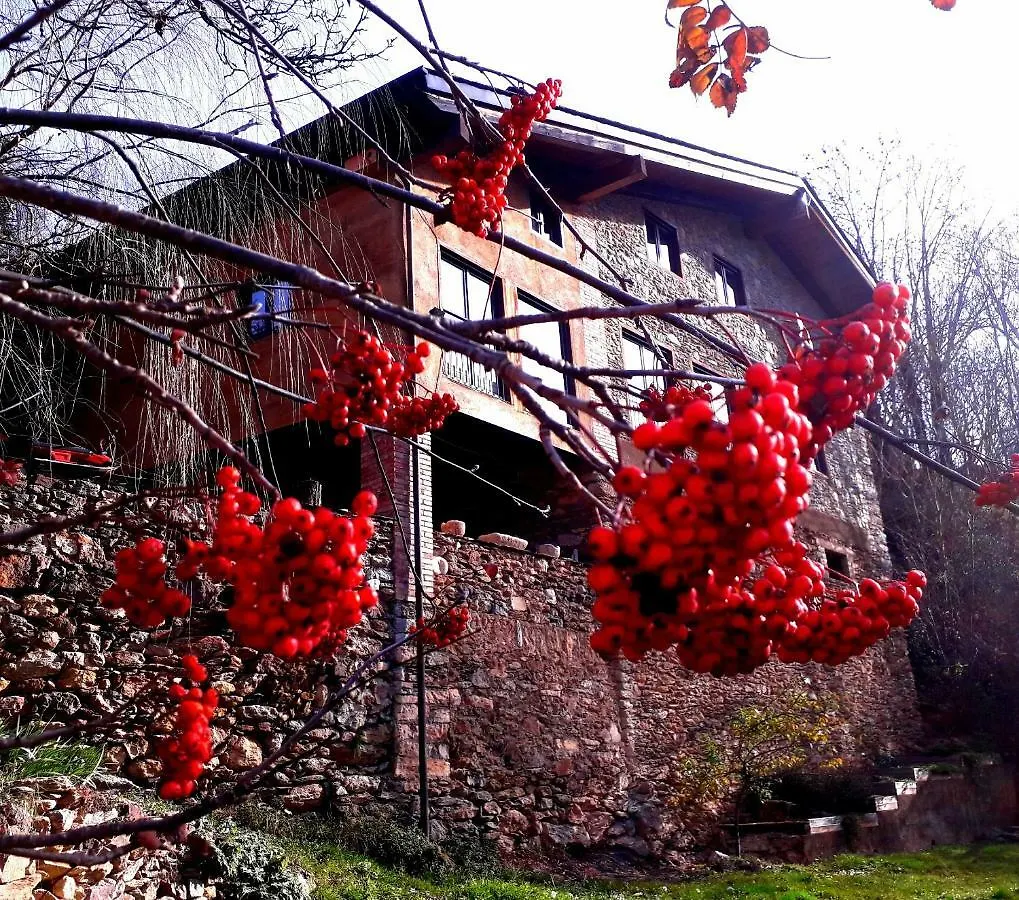 Country house Cal Sams Guest House Olopte